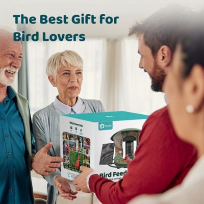 Image showing  1.25 L Smart Bird Feeder 2 Pro, Free AI Plus Solar