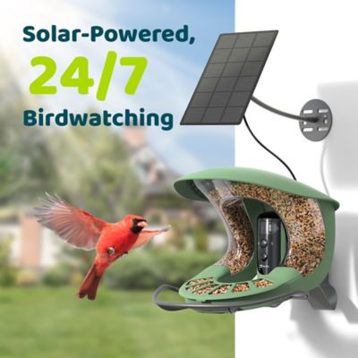 Image showing  1.25 L Smart Bird Feeder 2 Pro, Free AI Plus Solar