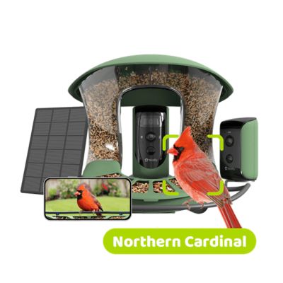 Birdfy 1.25 L Smart Bird Feeder 2 Duo, Free AI Plus Solar