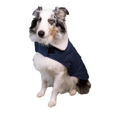 Image showing  Quilted Canvas Dog Barn Coat