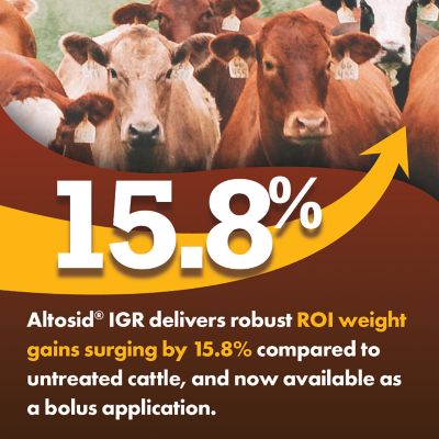 Image showing  Altosid IGR Horn Fly Control Bolus, 25 ct.