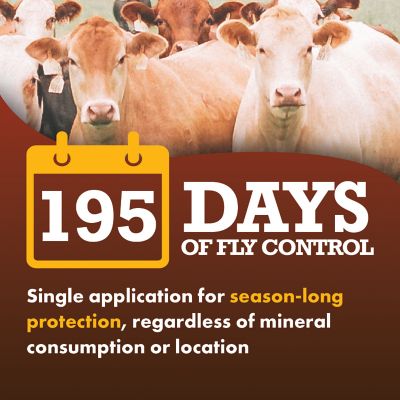 Image showing  Altosid IGR Horn Fly Control Bolus, 25 ct.