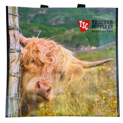 Image showing  Peeking Highland Cow Reusable Tote Bag