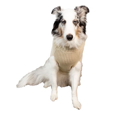 Image showing  Braided Cable Knit Dog Sweater
