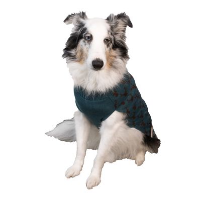 Image showing  Reindeer Dog Sweater