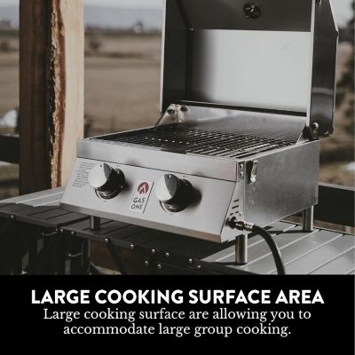 Image showing  2-Burner Stainless Steel Tabletop Propane Gas Grill, Silver