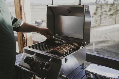 Image showing 6 th Gas One 2-Burner Stainless Steel Tabletop Propane Gas Grill, Silver
