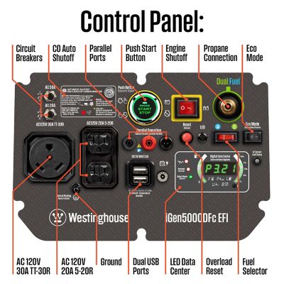 Image showing  5,000/3,900-Watt Dual-Fuel Portable Inverter EFI Generator, CO Sensor