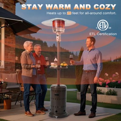 Image showing  Propane Gas Outdoor Iron Patio Heater
