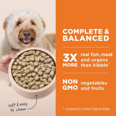 Image showing  Freeze Dried Raw Meals Grain Free Real Beef Recipe Dog Food, 14 oz.