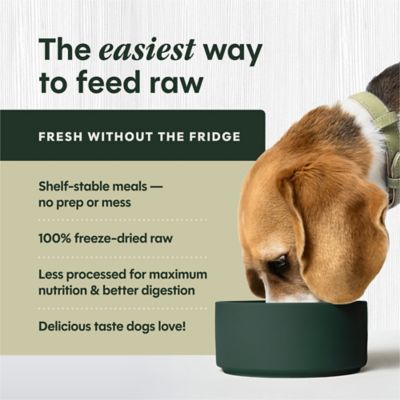 Image showing  Freeze Dried Raw Meals Grain Free Cage Free Chicken Recipe Dog Food