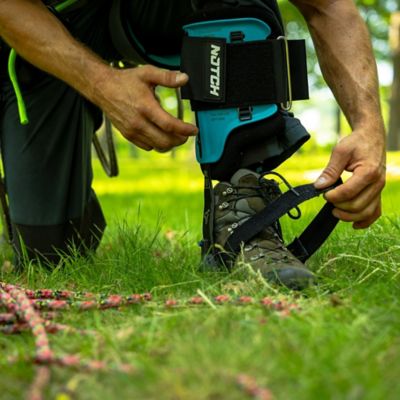Image showing  Steel Climbers, Tree Gaffs