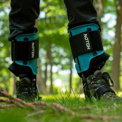 Image showing 5 th Notch Steel Climbers, Tree Gaffs