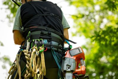 Image showing  Catalyst Harness