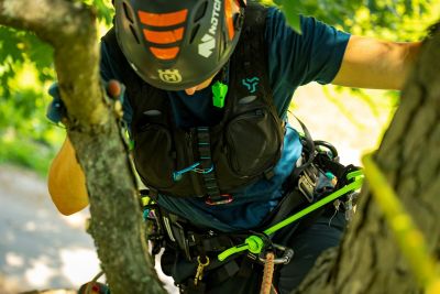 Image showing  Chester DLX Chest Harness