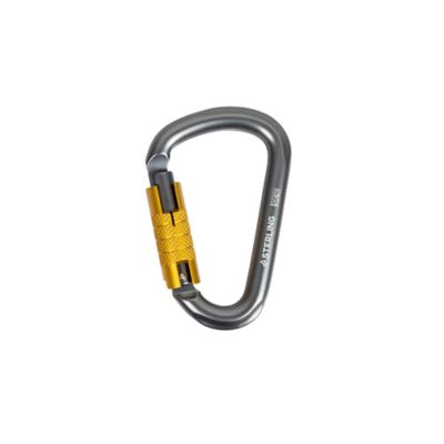 Image showing  HMS Autolock Carabiner