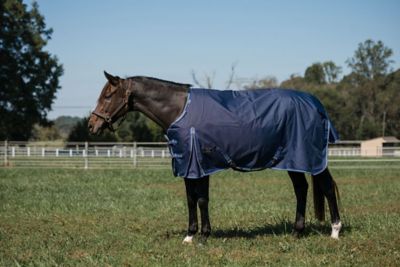 TuffRider 200g/1,200D Comfy Fit RipStop Waterproof/Breathable Turnout Blanket Medium Weight Neck with Adjustable Neck,