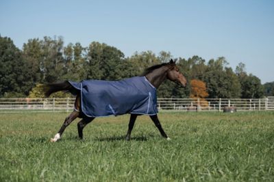 Image showing  200g/1,200D Comfy Fit RipStop Waterproof/Breathable Turnout Blanket Medium Weight Neck with Adjustable Neck,