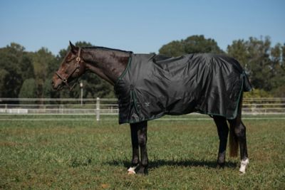 TuffRider 200g/600D RipStop Waterproof/Breathable Comfy Winter Turnout Blanket, Medium Weight
