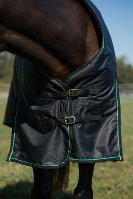 Image showing  200g/600D RipStop Waterproof/Breathable Comfy Winter Turnout Blanket, Medium Weight