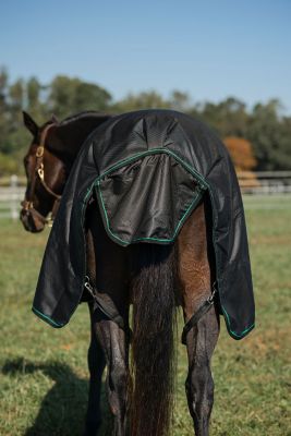 Image showing  200g/600D RipStop Waterproof/Breathable Comfy Winter Turnout Blanket, Medium Weight