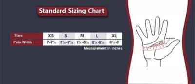 Image showing 1 th Equine Couture Unisex Max Mesh Summer Riding Glove