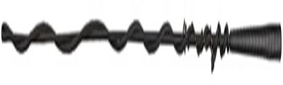 TuffRider Short Lunge Whip, 55 in.