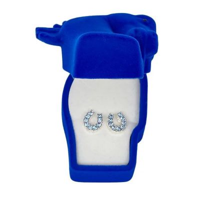 AWST Int'l Rhinestone Horseshoe Earrings with Horse Head Gift Box, Blue