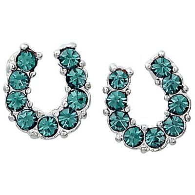 AWST Int'l Rhinestone Horseshoe Earrings with Horse Head Gift Box, Purple