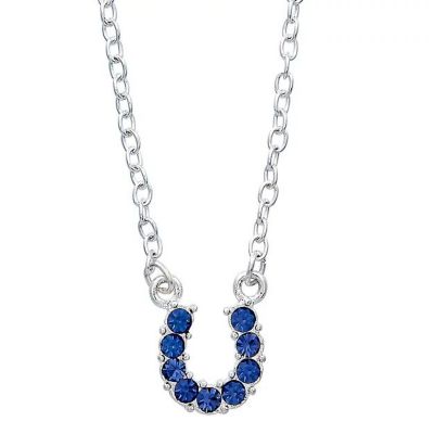 AWST Int'l Aqua Rhinestone Horseshoe Pendant Necklace with Horse Head Gift Box, Silver Plated