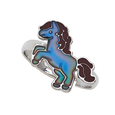 Image showing  Colorful Horses Mood Ring Display