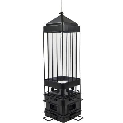 Squirrel Shield 3.2 qt. Metal Squirrel-Proof Advantage Cage Feeder, Black