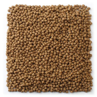 Image showing  Koi Premium Small, 3.5 lb.