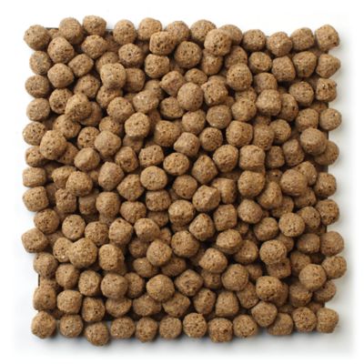 Image showing  Koi Premium Large