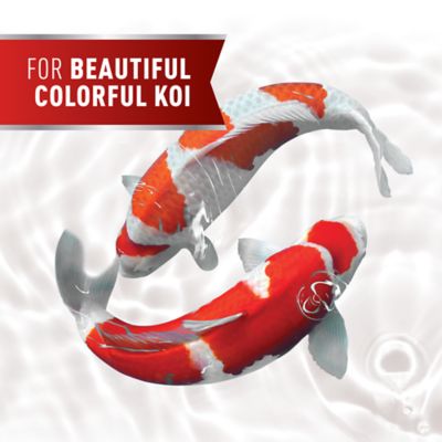 Image showing  Koi Premium Large