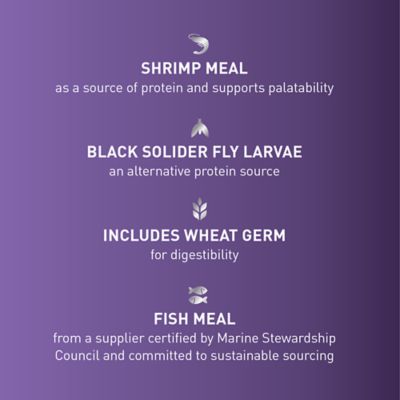 Image showing 5 th Mazuri Koi Premium Large