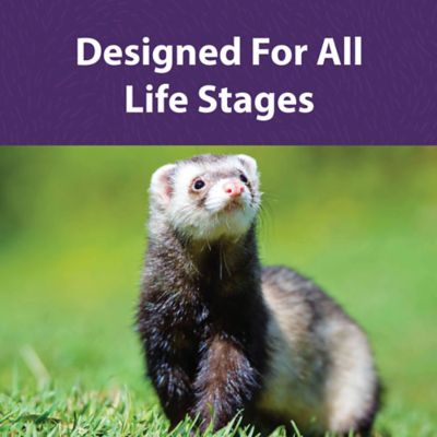 Image showing 5 th Mazuri Ferret Diet, 5 lb.
