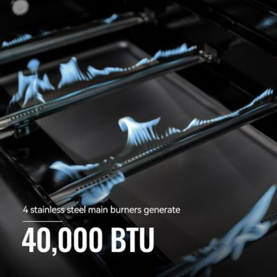 Image showing  5-Burner Propane Gas Grill with Cabinet, Black, With Side Burner