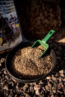 Image showing  Beet Pulp Shreds for Horses