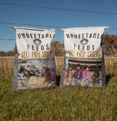 Image showing  Beet Pulp Shreds for Horses