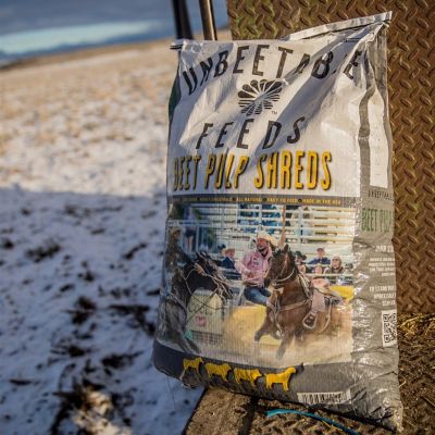 Image showing  Beet Pulp Shreds for Horses