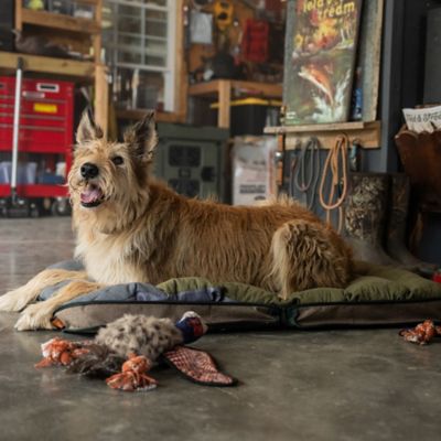 Image showing 7 th Field & Stream Folding Travel Mat Pet Bed, 38 x 26 in.