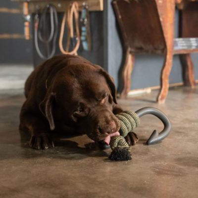Image showing  Nylon Hook with Rope Dog Tug Toy