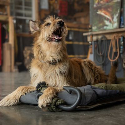 Image showing  Nylon Hook with Rope Dog Tug Toy