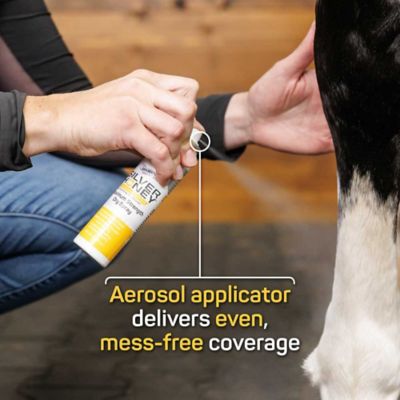 Image showing  Dry Spray