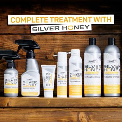 Image showing 6 th Silver Honey Dry Spray