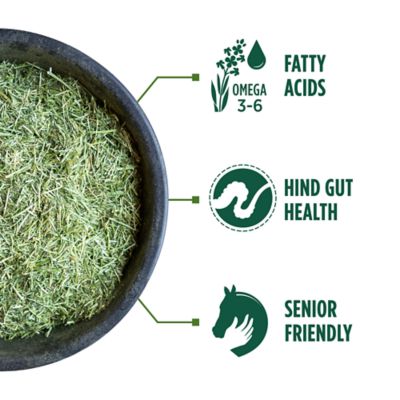 Image showing  Premium Western Forage Alfalfa Hay Chopped Horse Feed, 35 lb.