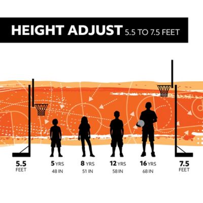 Image showing 6 th Lifetime Adjustable Youth Portable Basketball Hoop