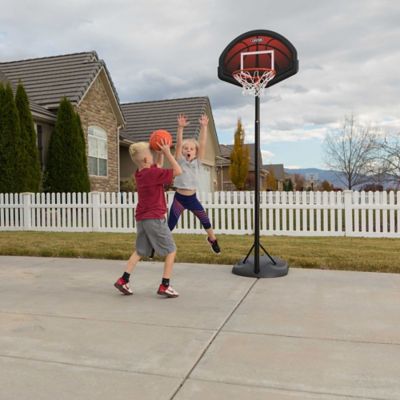 Image showing 9 th Lifetime Adjustable Youth Portable Basketball Hoop