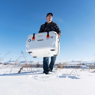 Image showing 8 th Lifetime 65 Quart High Performance Cooler, 91061